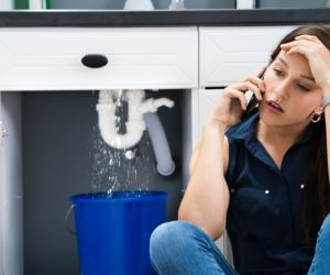 About Plumbers Pros Pelkie, MI